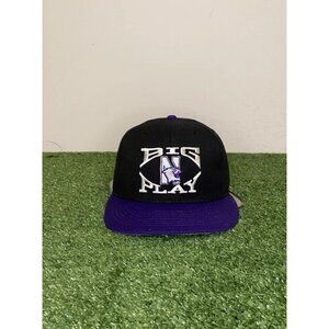 Vintage Northwestern Wildcats hat cap snap back black purple mens Y2K BIg Play